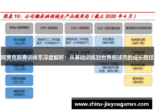 阿贾克斯青训体系深度解析：从基础训练到世界级球员的成长路径