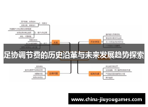 足协调节费的历史沿革与未来发展趋势探索