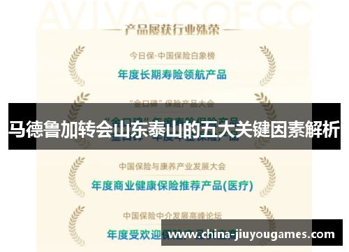 马德鲁加转会山东泰山的五大关键因素解析